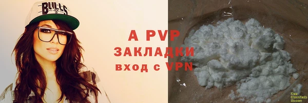 СК Алзамай