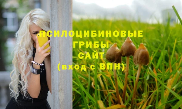 каннабис Сосновоборск