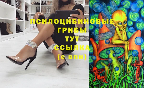apvp Алексеевка