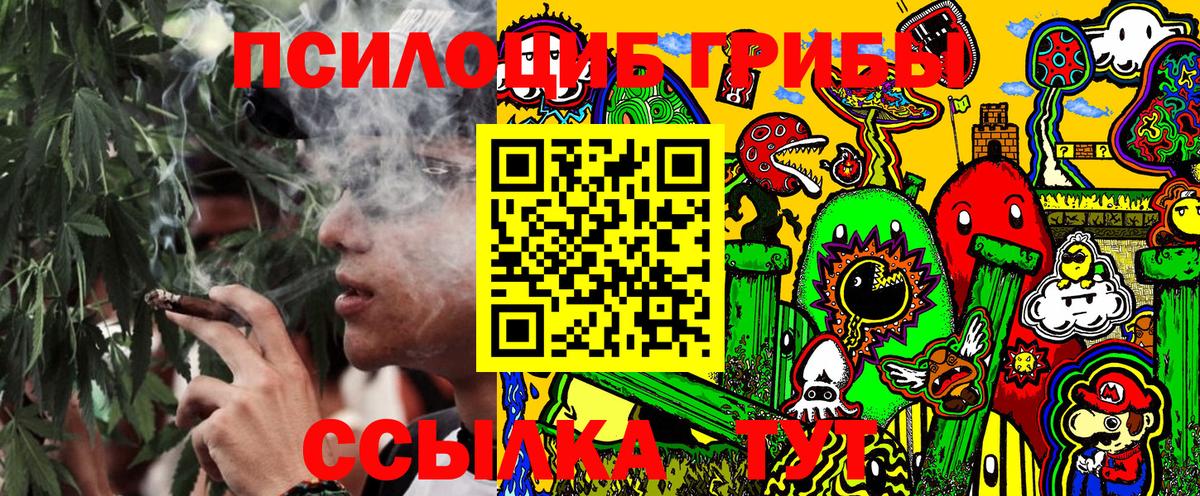 Псилоцибиновые грибы прущие грибы Егорьевск