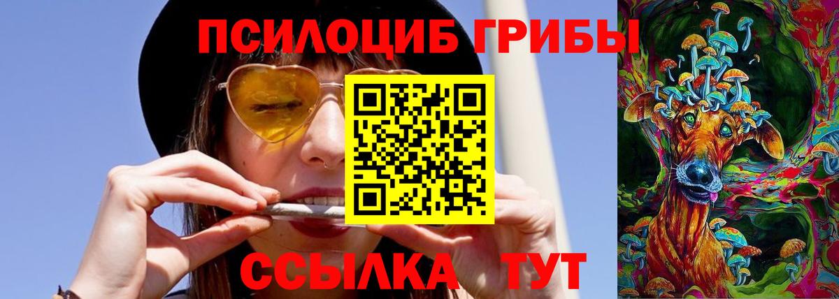Егорьевск  Галлюциногенные грибы ЛСД  Вход с VPN 