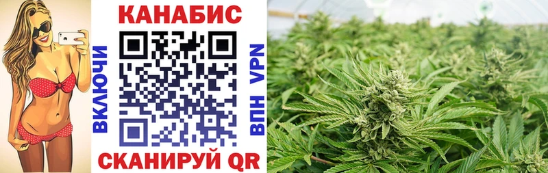 цены   МЕГА онион  Шишки марихуана THC 21%  Егорьевск 